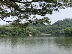 -深圳仙湖植物园