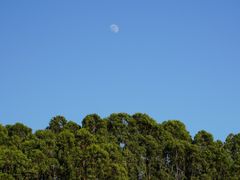 -元谋土林景区(物茂土林)