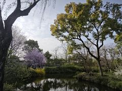 -拙政园