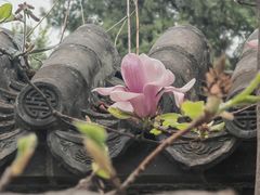 -红螺寺