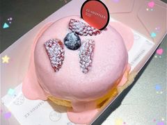 -狐狸和向日葵(北京路店)