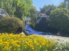 -上海鲜花港