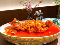 -新梅华(星悦汇店)