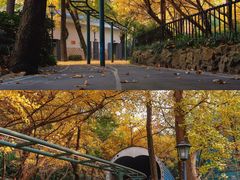 -中山公园