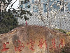 -上海电影博物馆