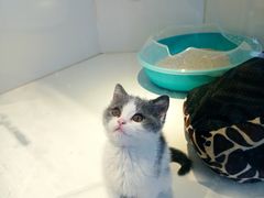 -龟与熊猫宠物公园(南坪店)
