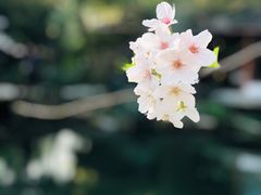 -苏堤停车场
