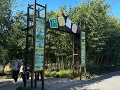 -上海长兴岛郊野公园