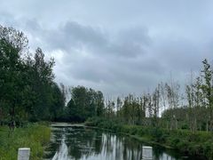 -溱湖国家湿地公园