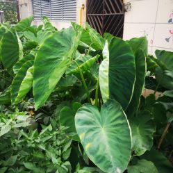 -梦田都市农场(银泰城店)