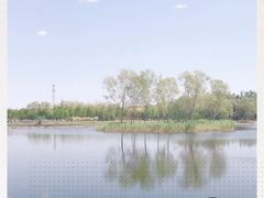 -大兴滨河森林公园