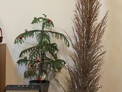 -老欧洲咖啡·西餐(后湖店)