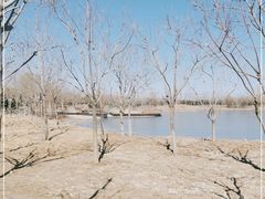 -东郊湿地公园