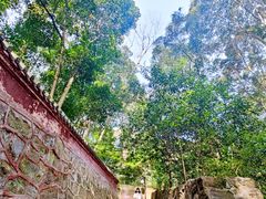 -都江堰普照寺