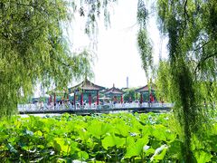 -长春市南湖公园