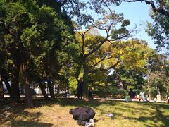 -八大关景区