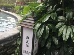 -汇雅温泉
