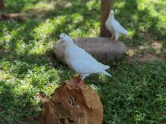 -三亚南山文化旅游区