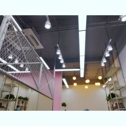 点击看大图 -YDO SALON