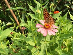 -帐篷客·溪龙茶谷度假酒店