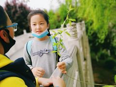 -西安汉城湖景区