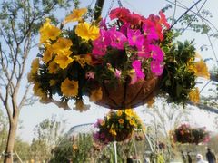 -上海植物园-4号门售票处