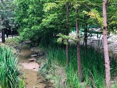 -白水寺森林公园