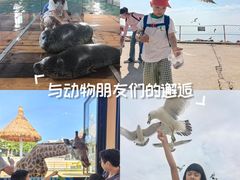 -西霞口神雕山野生动物世界