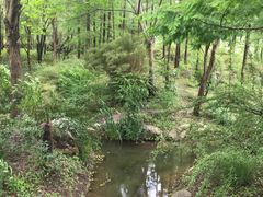 -新江湾城公园