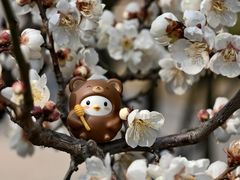 -狼山风景名胜区