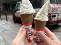 -富豪雪糕车流动点(尖沙咀店)