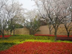 -上海佘山国家森林公园西佘山园