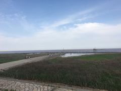 -南汇嘴观海公园