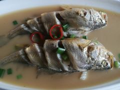 大黄鱼-拉完海鲜大排档(温岭店)