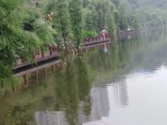 -重庆彩云湖湿地公园