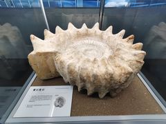 -天津古林古海岸遗迹博物馆