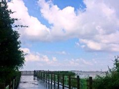 -上海吴淞炮台湾国家湿地公园