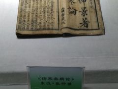 -广东中医药博物馆