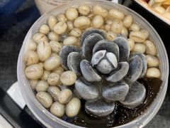 -鲜芋仙(高新益田假日里店)