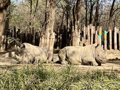 -北京野生动物园