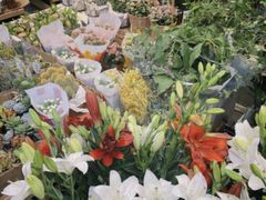 -循礼门鲜花花市(武汉循礼门店)