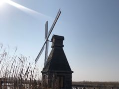 -宁波杭州湾国家湿地公园