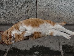 -终南山南五台景区