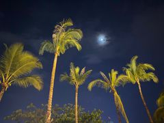 -东南亚风情赶摆街夜市