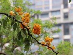-广州珠江公园