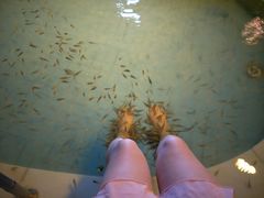 -广东温泉宾馆