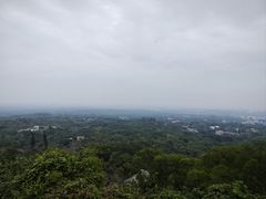 -海口火山口国家地质公园