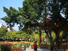 -光明港公园