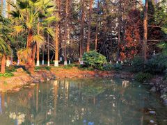 -苏州河梦清园环保主题公园