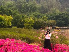 -南沙蒲洲花园
